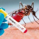 Jalisco Lucha Contra el Dengue: Entrega Gratuita de Peces Guppy para Combatir la Enfermedad