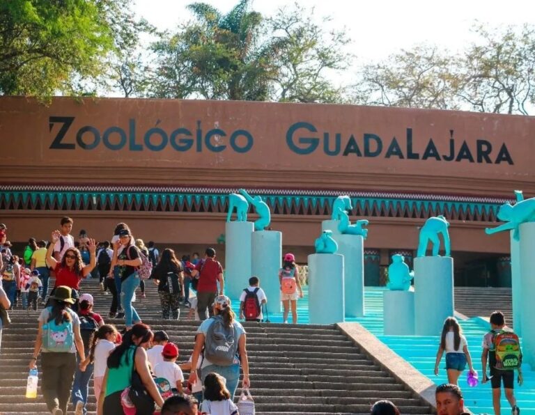 El Zoológico Guadalajara Recibe Distinción Internacional por su Compromiso con la Fauna y la Educación Ambiental