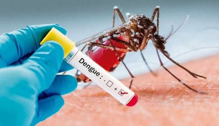 Prevén más de 17 mil casos de dengue en Jalisco para 2025