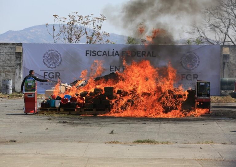 Destruyen en Jalisco más de una tonelada y media de drogas