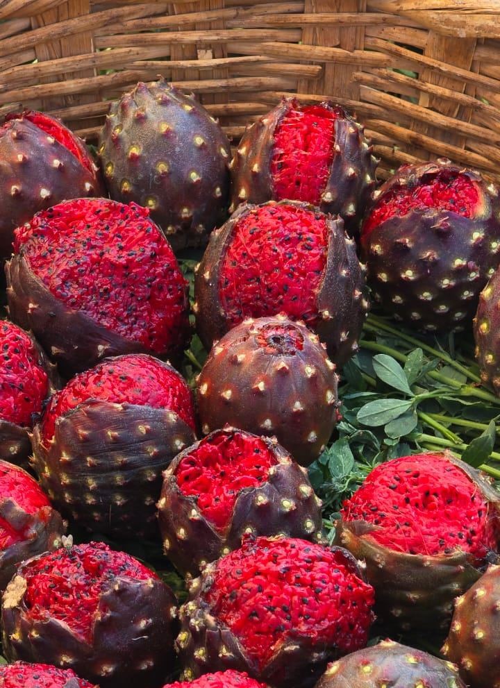 Temporada de Pitayas en las 9 Esquinas, Guadalajara: una explosión de sabor y tradición