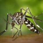 Jalisco refuerza combate al dengue con instalación de unidad transectorial