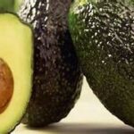 Arranca el Noveno Congreso del Aguacate con agenda de sanidad, sustentabilidad y tecnificación