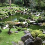 Los Colomos: una batalla legal por el pulmón verde de Guadalajara