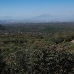 Crece la presión sobre el Bosque La Primavera: suman 50 denuncias por invasiones en cuatro años