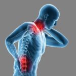 IMSS Jalisco llama a cuidar la postura desde la niñez por el Día Mundial de la Columna Vertebral