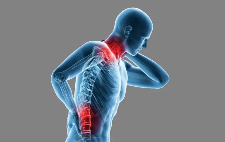 IMSS Jalisco llama a cuidar la postura desde la niñez por el Día Mundial de la Columna Vertebral