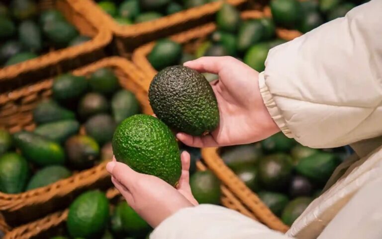 El aguacate baja, la tasa se afloja… y el gobierno aprieta