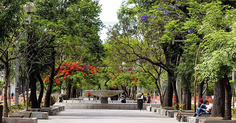 El Andador Chapultepec florece con la feria “El Campo Flores en Jalisco”