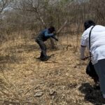 Encuentran restos en fosas cercanas al estadio Akron: cifras y avances en la búsqueda de víctimas de desaparición en Jalisco