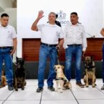 Refuerzan vigilancia sanitaria en Jalisco con cinco binomios caninos contra el gusano barrenador