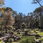 Tribunal frena proyecto habitacional en el Bosque de Los Colomos