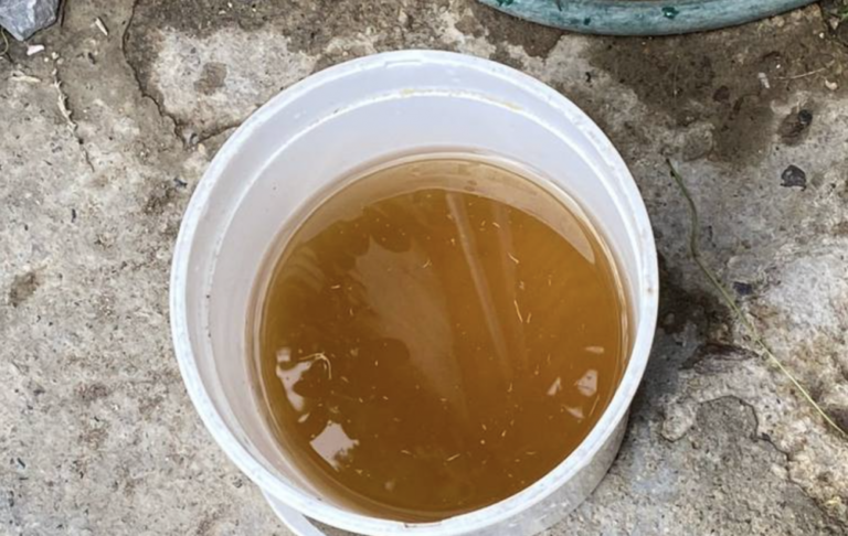 Salud Jalisco descarta alerta sanitaria pese a reportes de agua turbia en el AMG