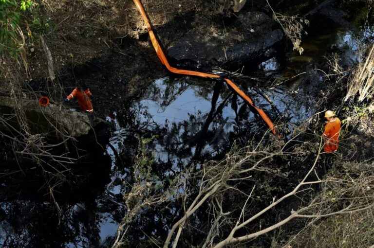 Crisis por derrame en el Golfo de México crece entre críticas a Pemex y opacidad en daños en Veracruz y Tabasco