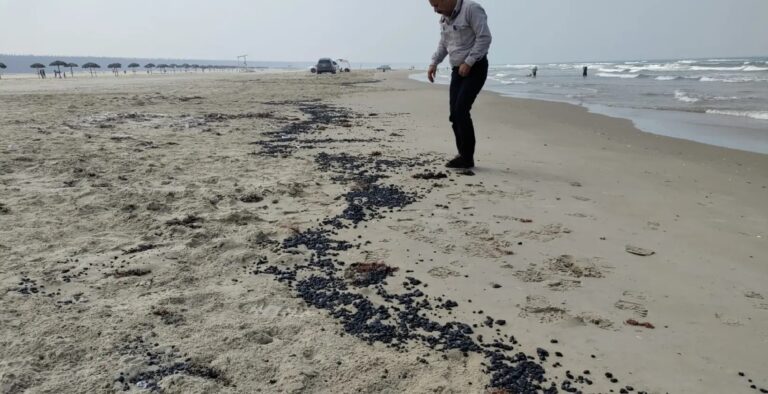 Aumenta la contaminación por hidrocarburos en costas mexicanas: ahora afectan playas de Tamaulipas tras semanas en Veracruz