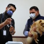 Refuerza Jalisco campañas de esterilización y vacunación antirrábica