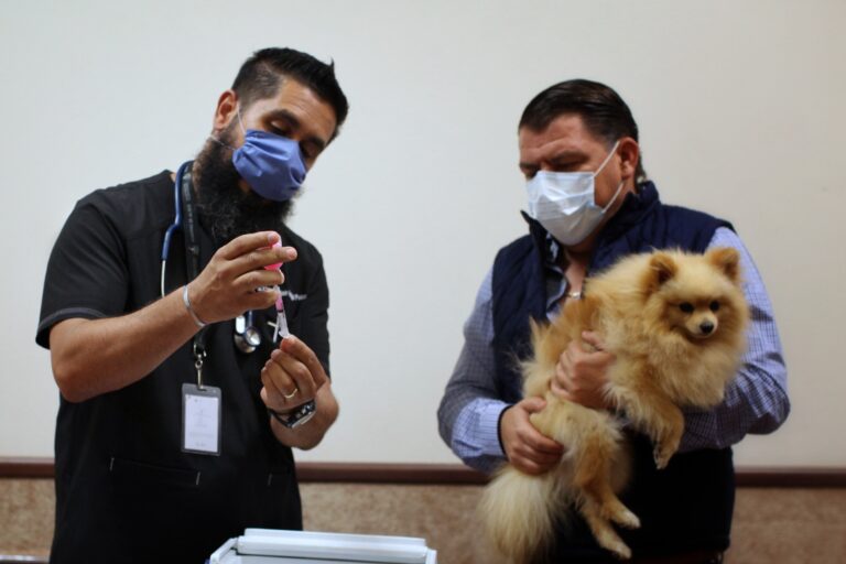 Refuerza Jalisco campañas de esterilización y vacunación antirrábica