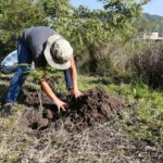 Arranca en Jalisco la campaña de reforestación 2026 para fortalecer áreas verdes y bosques