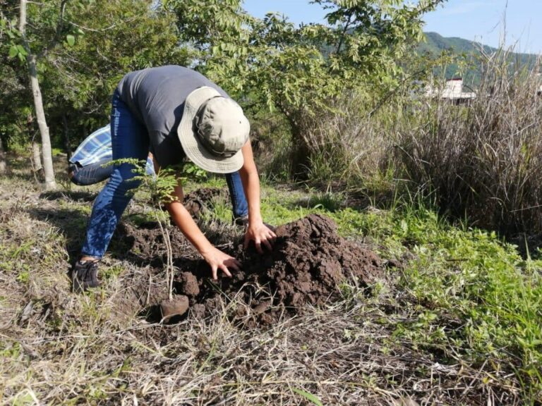 Arranca en Jalisco la campaña de reforestación 2026 para fortalecer áreas verdes y bosques