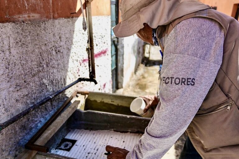 Llaman a reforzar medidas contra el dengue ante inicio de temporada de lluvias en Jalisco