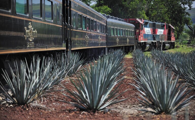 Ruta del Tequila fortalece su futuro con alianza entre municipios y el Consejo Regulador