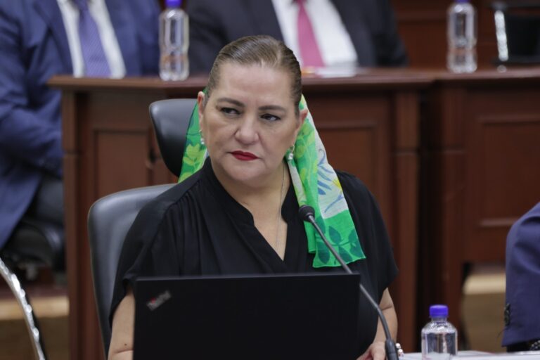 Audiencias, elecciones e inversión