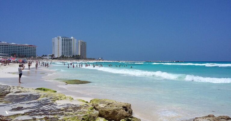 Cofepris declara cinco playas no aptas para uso recreativo durante el verano; una se ubica en Jalisco