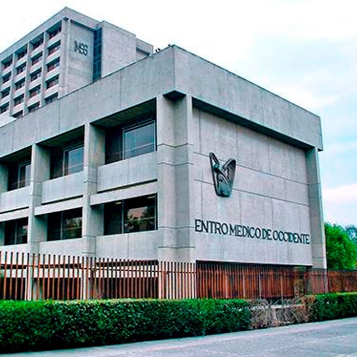 Jalisco mantiene crecimiento laboral pese a ligera baja mensual