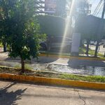 Vecinos alertan riesgos por coliformes fecales esparcidos en el ambiente