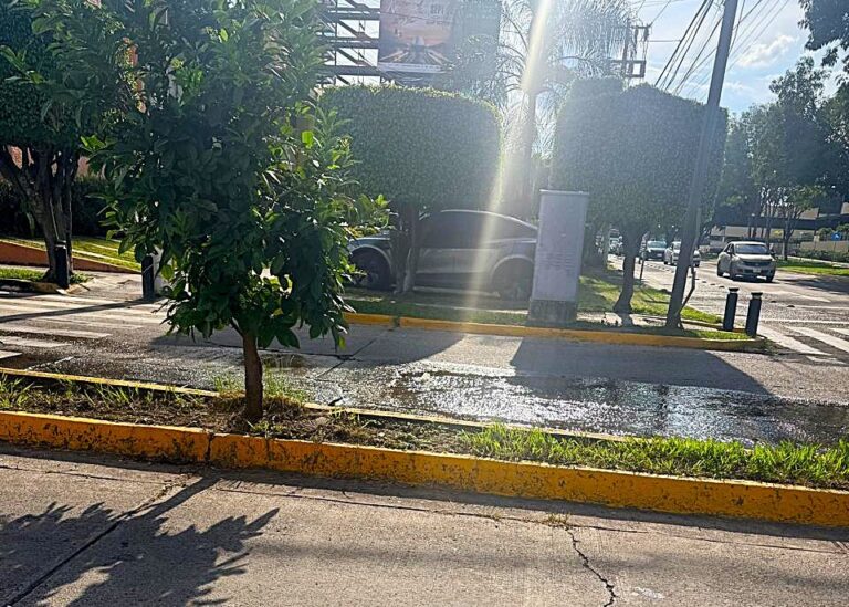 Vecinos alertan riesgos por coliformes fecales esparcidos en el ambiente